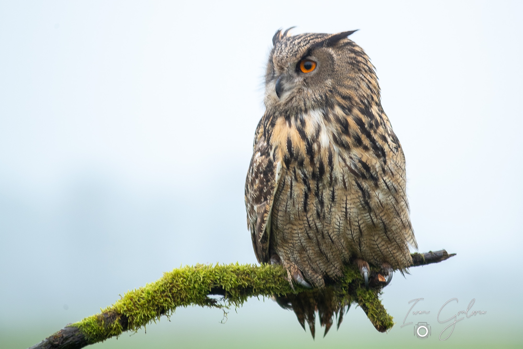 1DX46669 12 december 2021 1411 14